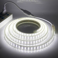 แถบไฟ LED สองแถว15/20 2835 V,แถบไฟ Led กันน้ำได้220ดวงยาว3/5/10/120เมตรพร้อมปลั๊กสำหรับตกแต่งบ้านสีขาวสว่างสูง/สีวอร์มไวท์