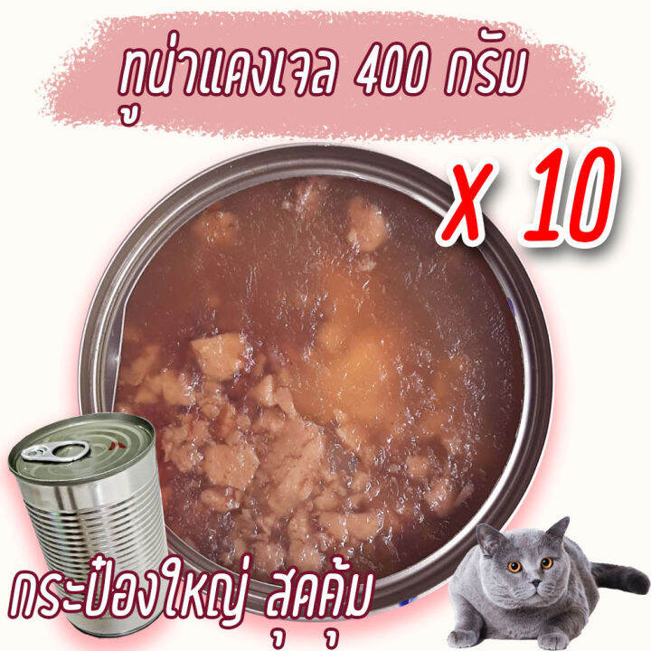 แพค-x10-อาหารแมว-400-กรัม-กระป๋องเปลือย-อาหารแมวเปียก-จากโรงงาน-ส่งออก-ราคาถูก-ทูน่าขาว-ทูน่าแดง-ไก่-cat-food