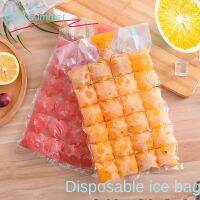 10pcs/Pack Disposable ice pack edible frozen ice cube mold household self-sealing ice tray freezer bag with passion fruit ice bag