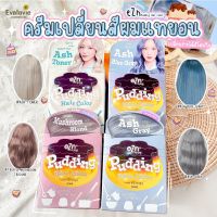 (ของแท้ 100%) eZn Pudding Hair Color ครีมเปลี่ยนสีผมแทยอน เนื้อครีมพุดดิ้ง