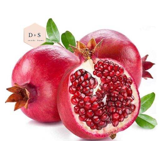 Premium Quality Tree Seeds Punica Granatum Red Seeds Lazada Ph