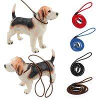 SuppliesDog Leash Colored Nylon Rope Alloy Cat and Dog Leash