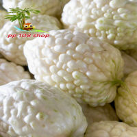 มะระหัวใจ สีขาว (White Valentine gourd)