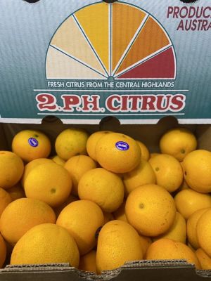 ส้ม ส้มแมนดาริน ออสเตรเลีย ( 2PH Farms กล่องใบพัด) 🇦🇺 AUS #9 kg./ลัง