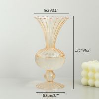 Ins Style Glass Vase Creative Home Ornaments Glass Flower Bottle Arrangement Vase Home Decor Photo Props