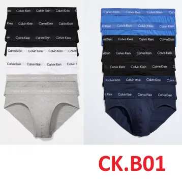 Calvin Klein CK ONE Cotton 2 Pack Hip Brief U8525