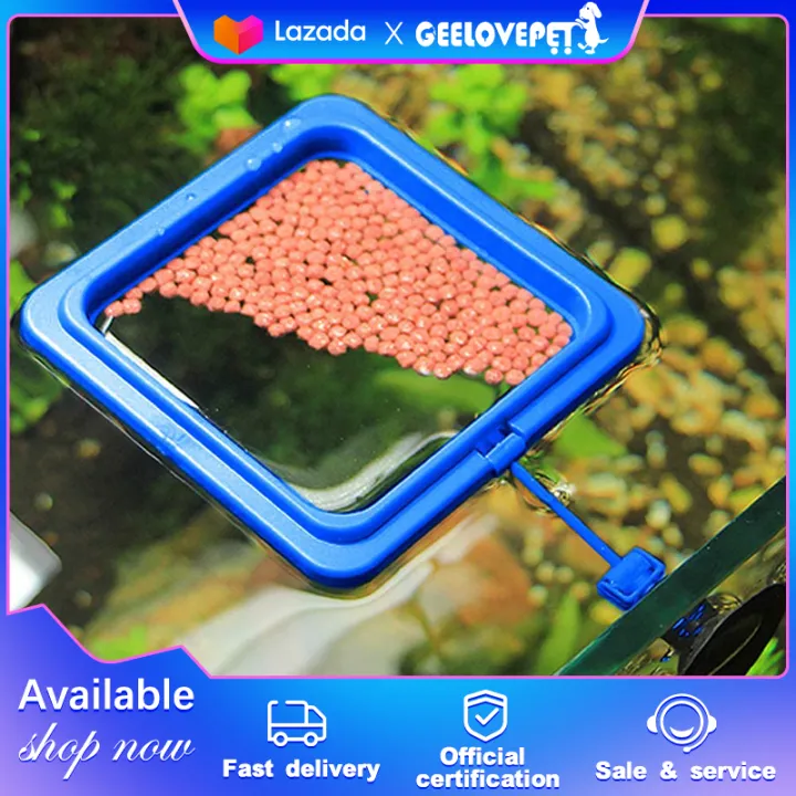 1Pcs Fish Feeder Floating Feeder Plastic Aquarium Fish Tank FixedPoint