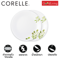 Corelle Olive Garden จานอาหาร จานแก้ว ขนาด 8.5 นิ้ว (21 cm.) จำนวน 2 ชิ้น [C-03-108-OG-2]