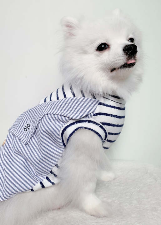 animal-go-round-เสื้อผ้าเครื่องแต่งกาย-สัตว์เลี้ยง-หมา-แมว-สุนัข-รุ่น-smith-blue-snowflake