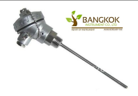 เซนเซอร์วัดอุณหภูมิ (แบบหัวกระโหลก) Temperature Sensor  RTD Pt100  Model : BKP-SQ-107-6X200(1/4")(PT100)