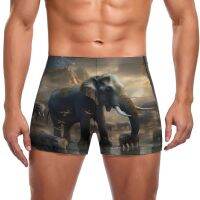 Elephant Swimming Trunks Mysterious Realm Print Durable Swim Boxers Training Plus Size Men Swimsuit Swimwear