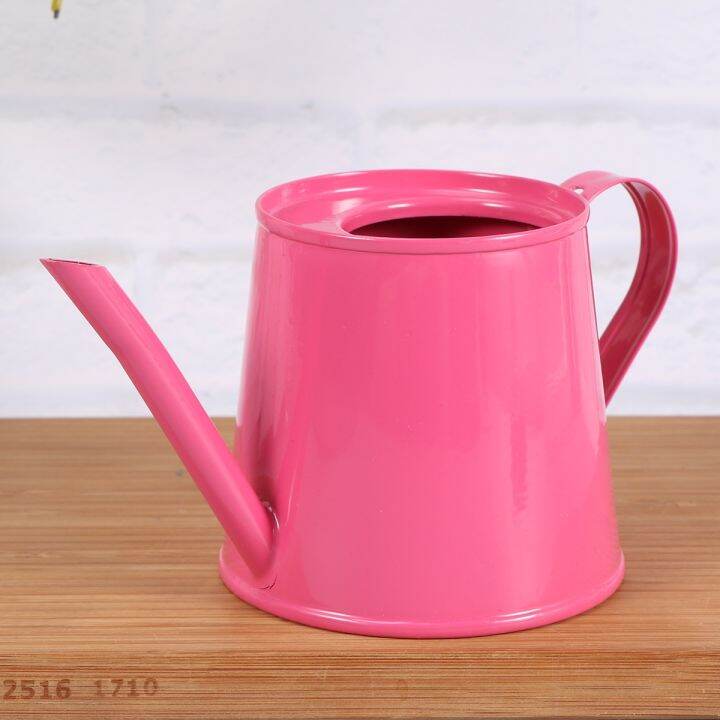 【CC】 Garden Pot Watering Can Indoor Metal Jug Mister Lazada.co.th