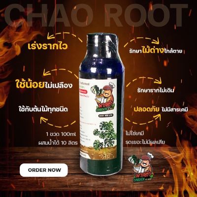 [สินค้าพร้อมจัดส่ง]⭐⭐Chao Root Tranformedออกานิค100%️น้ำยาเร่งรากเชฟเฉาเร่งรากไม้ด่างน้ำยาระเบิดรากเร่งรากต้นไม้⭐️[สินค้าใหม่]จัดส่งฟรีมีบริการเก็บเงินปลายทาง⭐⭐