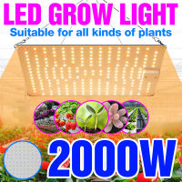 ไฟปลูกต้นไม้ปลูกพืช ไฟปลูกต้นกันชา ไฟเลี้ยงต้นไม้กระตุ้นตอบโต 220V Full Spectrum LED Grow Light ไฟเลี้ยงต้นไม้โตเร็ว2-3เท่า เหมาะสำหรับปลูกต้นกล้าผั