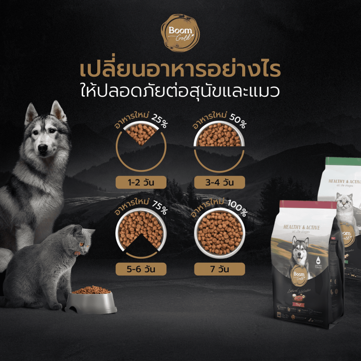 ฺboom-gold-อาหารลูกแมว-อาหารแมว-หย่านมและแมวอายุ-1-ปีขึ้นไป-1-kg