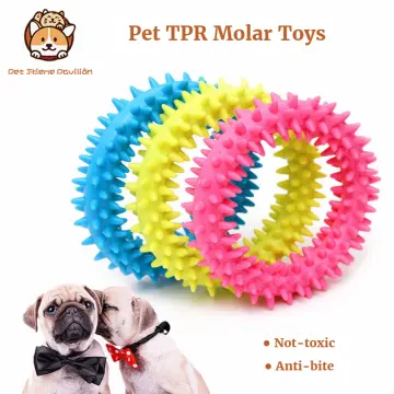 Pet Toy Tpr Summer Ice Ring Cooling Frozen Dog Toy, Teeth Cleaning