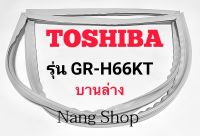 ขอบยางตู้เย็น TOSHIBA รุ่น GR-H66KT (บานล่าง)