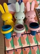 Bộ kệ giá treo để cốc ly nhựa đựng bàn chải kem đánh răng dán tường xinh