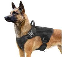 service dog vest for sale