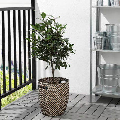 Plant pot, in/outdoor dark grey/beige