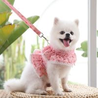 Dog Cat Harness Leash Set Adjustable Lace Floral Printed Pet Harness Vest Cute Dog Dress Puppy Mesh Harness Cat Walking Lead Leashes