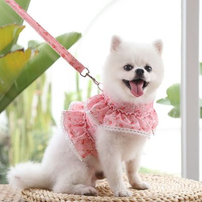 Dog Cat Harness Leash Set Adjustable Lace Floral Printed Pet Harness Vest Cute Dog Dress Pubby Mesh Harness Cat Walking Lead Leashes
