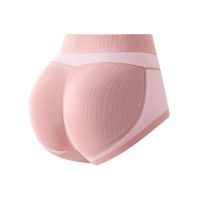 WSY 2023 Ladies shape pants Butt Lifter Shaper Panties Padding Briefs Buttock Remonte Invisible Butt Lift lingerie Pants  shapewear Enhancer Fake Ass Hip Pads Women