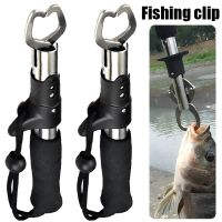 【LZ】✴  24CM Stainless Steel Fishing Gripper Professional Fish Grip Lip Clamp Grabber Folding Pliers Clip Controller Fishing Tool