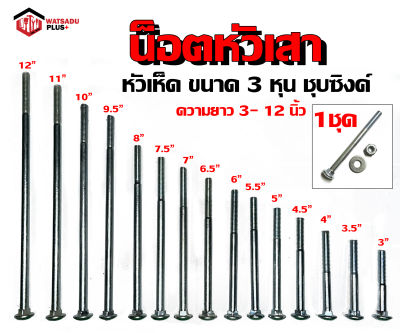 น็อตจับเสา เสาคอนกรีต เสาไม้ น็อตจับเสาไฟฟ้า โบลท์หัวเห็ด น็อต ยาว 3-12นิ้ว ขนาด 3 หุน พร้อมแหวนตัวเมีย น๊อตจับแร็คช่อง