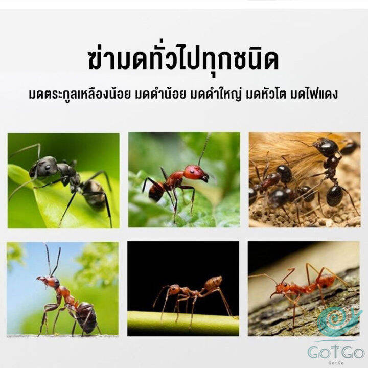 gotgo-สเปย์กำจัดมด-ยากำจัดมดภายในบ้าน-กำจัดแมลง-pest-control