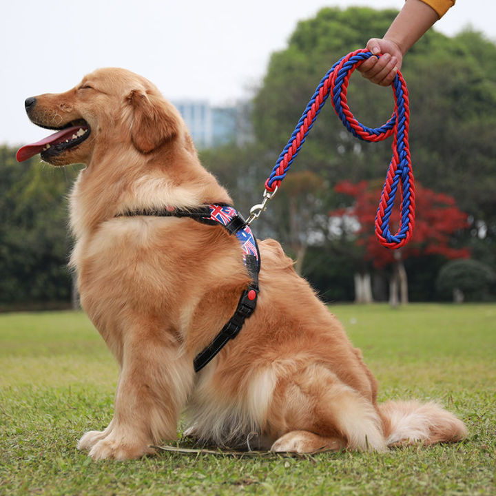 สายจูงสุนัขโกลเด้นรีทรีฟเวอร์สุนัขล่ามโซ่-samoye-ขนาดกลางและขนาดใหญ่หน้าอกสุนัขเท็ดดี้คอร์กสัตว์เลี้ยงเดินสาย-dvpi