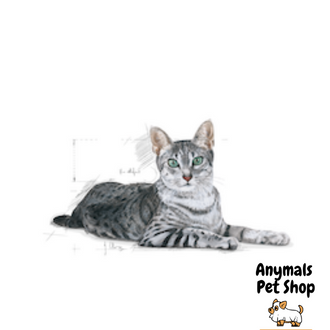 อาหารแมว-royal-canin-indoor-7-1-5kg-สำหรับแมวสูงวัย-เลี้ยงในบ้าน-อายุ-7-ปีขึ้นไป