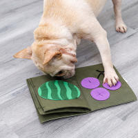 Interactives Foraging Sniff Mat Encourages Searching Skills Training Mats for Large Medium Small Dog Dog Puzzle Mat G10