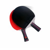 Lemuria Professional Carbon Fiber Table Tennis Racket Double Face Pimples-in Rubber 2.15MM Sponge FL Or CS Handle Ping Pong Bat