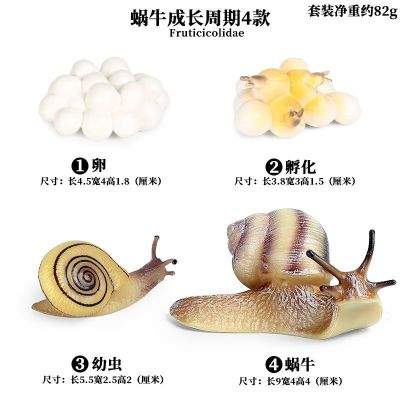 Childrens educational toys micro simulation animal model of snail courtyard garden landscape decorations plastic furnishing articles