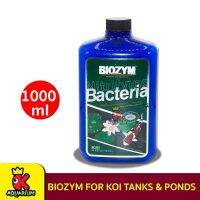 Biozym Multi-Nitrification Bacteria Koi &amp; Pond ปรับสภาพน้ำ สำหรับปลาคาร์ฟ 1000 ml. BL401