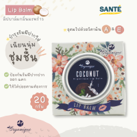 Organique Lip Balm Coconut 20 g. ลิปบาล์ม กลิ่นมะพร้าว ตราออแกนีค บำรุงริมฝีปาก ขนาด 20 กรัม