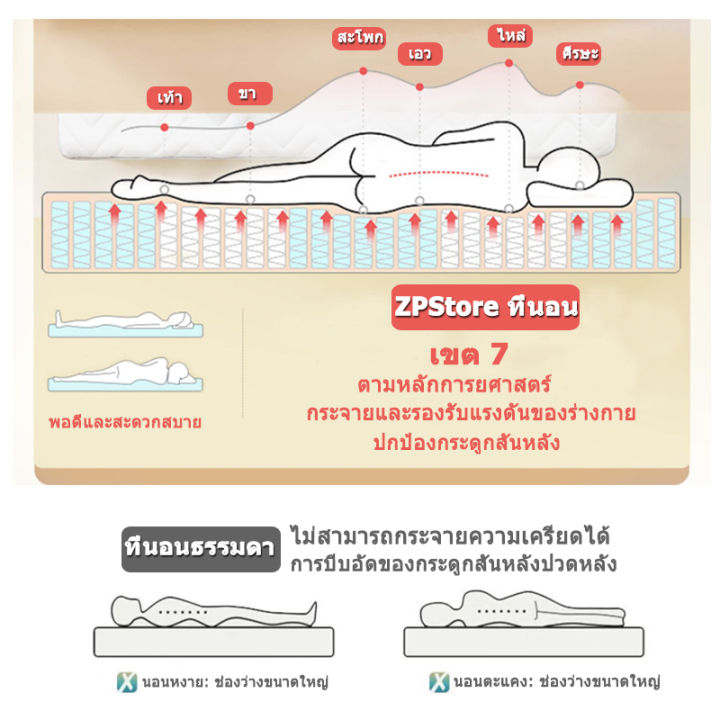 ที่นอนยางพารา-5ฟุต-6ฟุต-หนา-2-นิ้ว-mattress-นุ่ม-ไม่ยุบง่าย-แก้ปวดหลัง-ที่นอนใยหนา-ที่นอนพกพา-ที่นอนปิคนิค