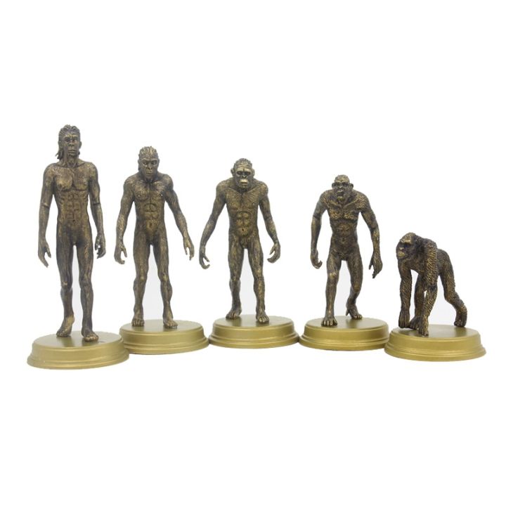 origin-of-humans-human-evolution-ape-man-paleontological-doll-static-model-ornament-toys