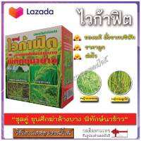 ไวก้าฟิต ขนาด 100 กรัม สารกำจัดวัชพืช ทั้งใบแคบและใบกว้าง กำจัดหญ้าข้าวนกสีชมพู หญ้าแดง ผักปอดนา กกต่างๆ ในนาหว่านตมและนาหว่านแห้ง