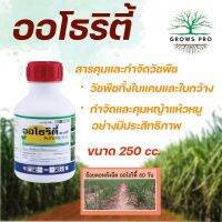 GrowsPro ออโธริตี้ 250 cc. สารซัลเฟนทราโซน คุม ฆ่า หญ้าทั้งใบแคบและใบกว้าง โดยเฉพาะหญ้าแห้วหมู ในไร่อ้อย