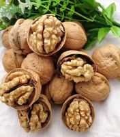 ขายส่ง เมล็ดวอลต์นัท Walnuts ราชันแห่งพืชตระกูลถั่ว พืชเศรษฐกิจ ถั่ว ธัญพืช ผลไม้แห้ง ไอศกรีมท็อปปิ้ง พายวอลนัท บราวนี่ ขนมหวาน 10 เมล็ด