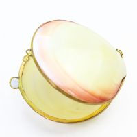 ☍ Natural Pink Clams Tortoise Shell Jewelry Packaging Box Charms Display Appliances Box Necklace Earrings Ring Case Pendant Gift