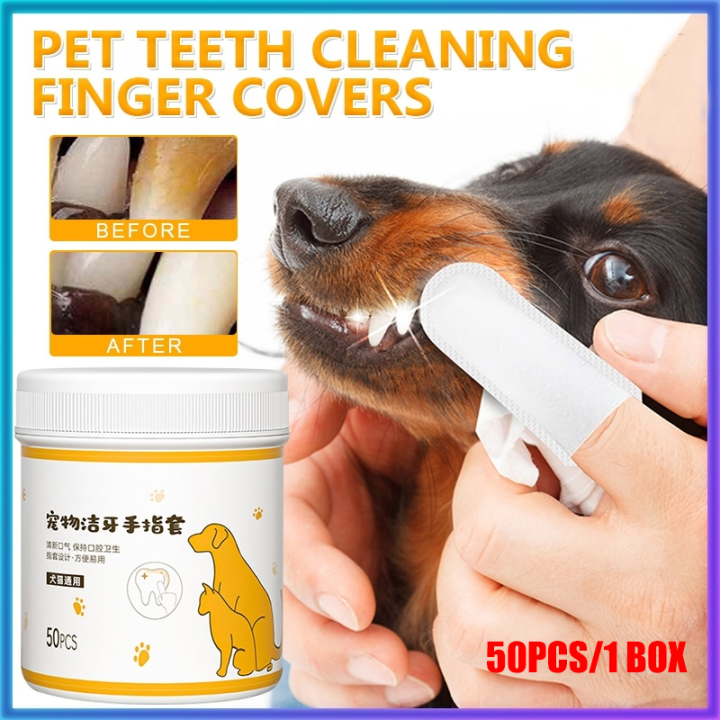 Pet Dental Finger Wipes Pet Finger Cover Type Tooth Cleaning Wet Wipe ...