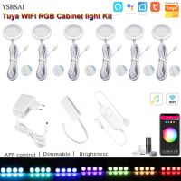 Wifi tuya APP Remote Control RGB LED Under Cabinet Lights Dimming Kitchen Counter Furniture Lighting Kit For Alexa Google Home Ceiling Lights