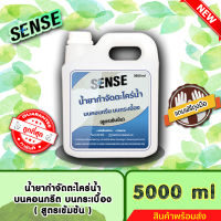 SENSE น้ำยากำจัดตะไคร่น้ำบนคอนกรีต,บนกระเบื้อง,บนทรายล้าง (สูตรเข้มข้น) ขนาด 5000 ml ++สินค้าพร้อมส่ง++ #แถมฟรีถุงมือ ?