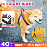 สายจูงหมา สายจูงสุนัข สายจูง เชือกจูงสุนัข Harness Leash ฟรีสายจูงยาว 120 ซม