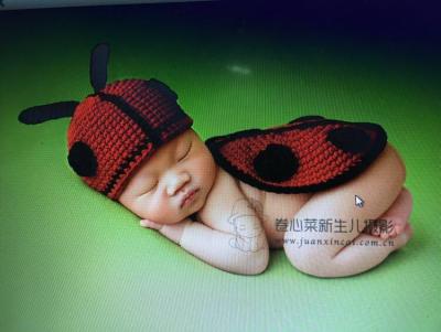 ☑◘✺ jiozpdn055186 Adereços para animal recém-nascido giirl ladybird conjunto completo de roupas fotografia