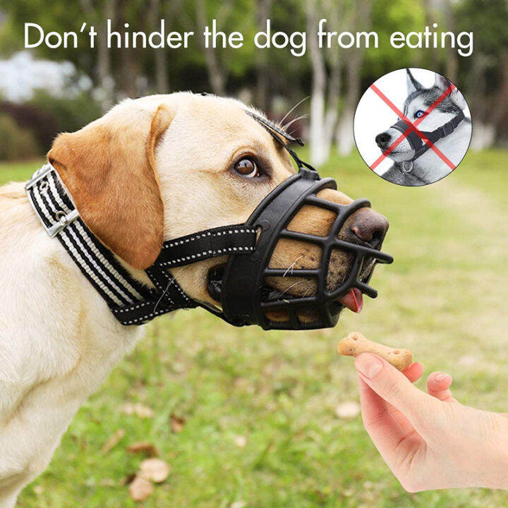 are dog muzzles helpful to stop bitting