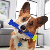 แปรงสีฟันสุนัขอัจฉริยะ แปรงน้องหมา Chewbrush 3 Way Pet Self-Brushing Toothbrush ปราศจาก BPA
